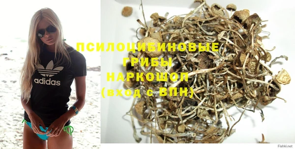 MESCALINE Вяземский
