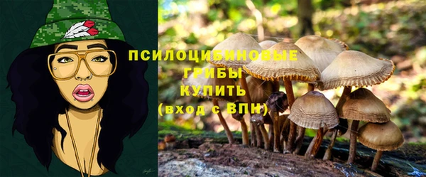 MESCALINE Вяземский