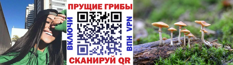 Псилоцибиновые грибы MAGIC MUSHROOMS  купить наркотик  Артём 
